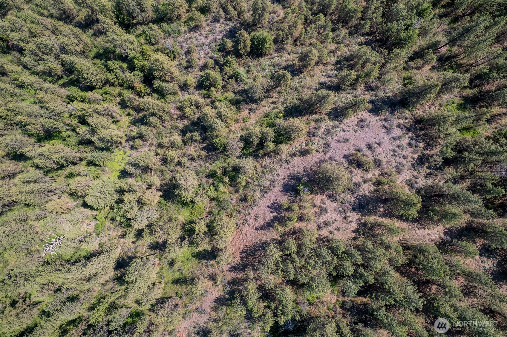 0 Peter Dan Road Coulee Dam, WA 99116 - Photo 4 of 8