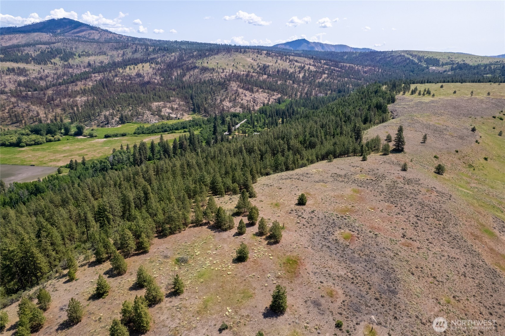 0 Peter Dan Road Coulee Dam, WA 99116 - Photo 5 of 8 a view of a backyard with a lake