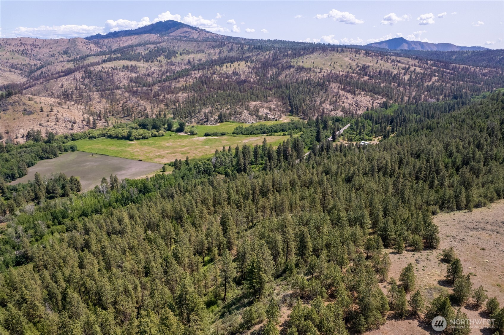0 Peter Dan Road Coulee Dam, WA 99116 - Photo 6 of 8 a view of a lush green hillside and a building