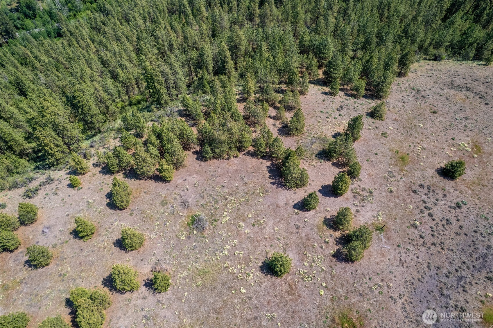 0 Peter Dan Road Coulee Dam, WA 99116 - Photo 7 of 8 a view of flowers in the garden