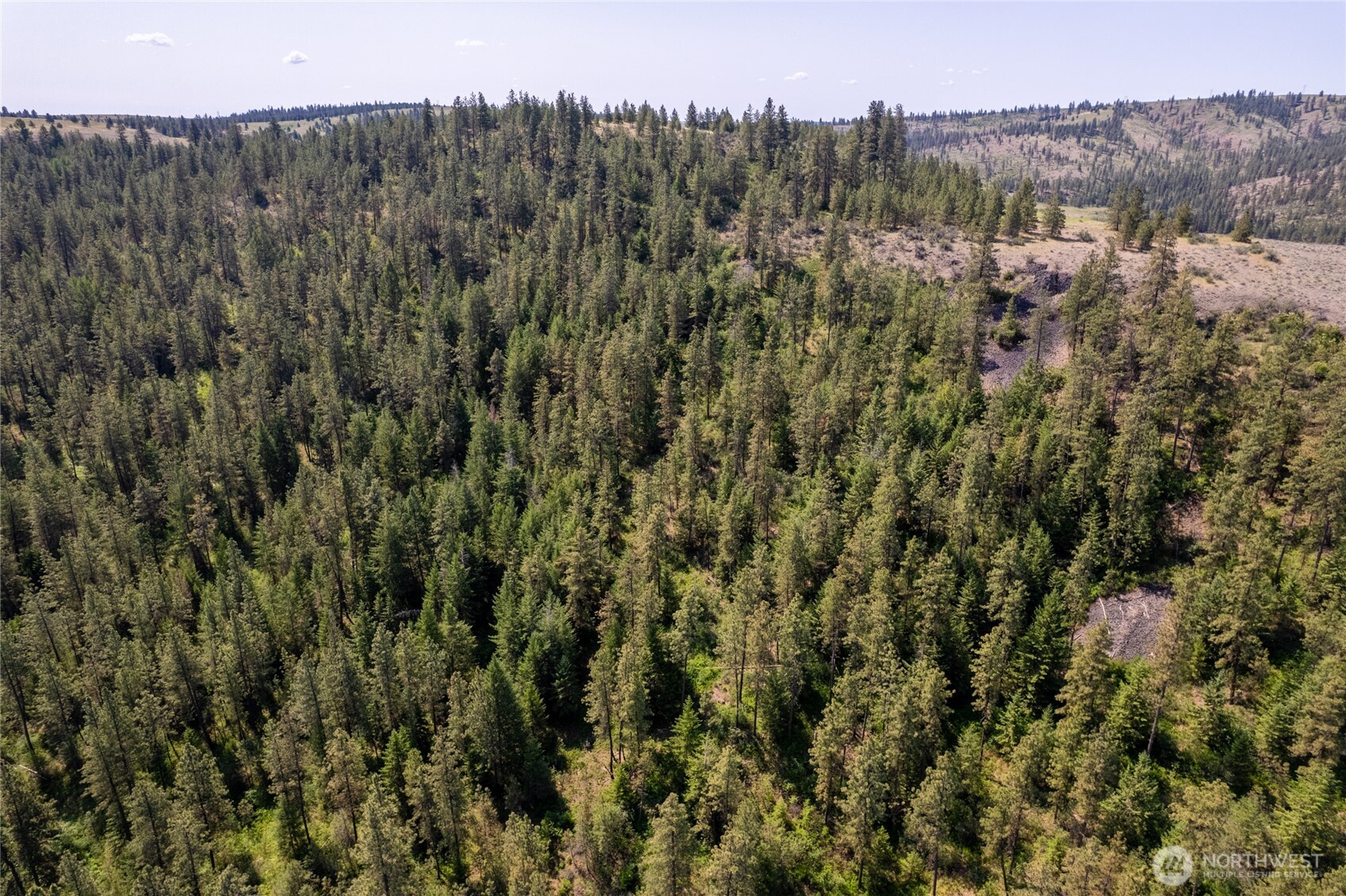 0 Peter Dan Road Coulee Dam, WA 99116 - Photo 8 of 8 a view of a green field