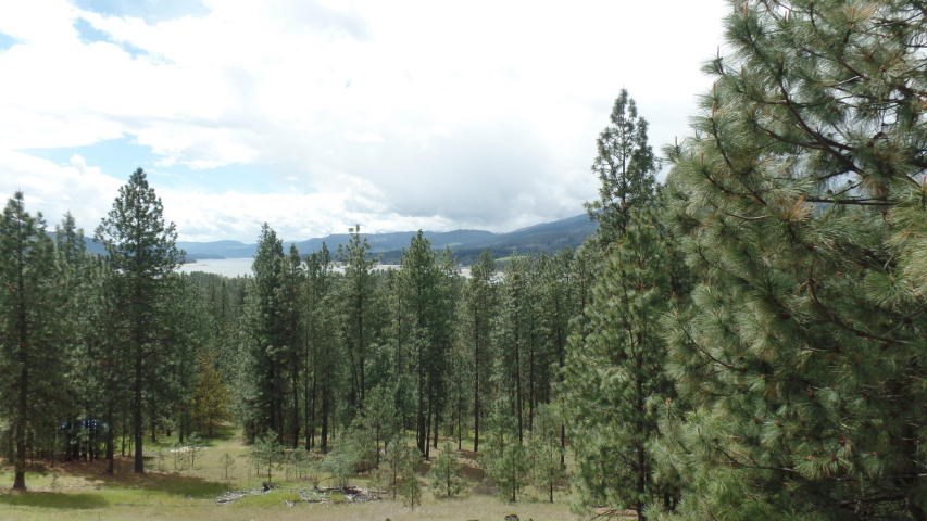 Lot 103 Old Kettle Road Kettle Falls, WA 99141 - Photo 1 of 19 Gallery Image 1