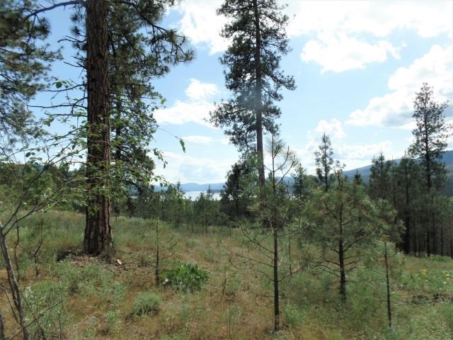 Lot 103 Old Kettle Road Kettle Falls, WA 99141 - Photo 13 of 19 Gallery Image 13