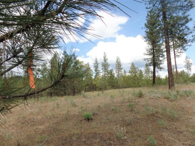 Lot 103 Old Kettle Road Kettle Falls, WA 99141 - Photo 15 of 19 Gallery Image 15