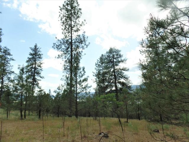 Lot 103 Old Kettle Road Kettle Falls, WA 99141 - Photo 17 of 19 Gallery Image 17