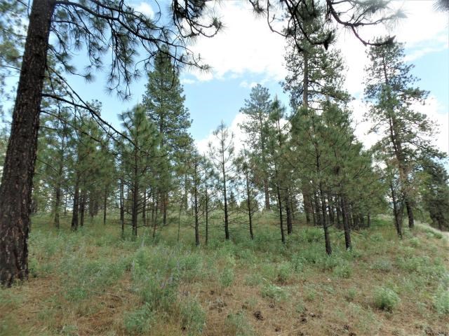 Lot 103 Old Kettle Road Kettle Falls, WA 99141 - Photo 18 of 19 Gallery Image 18