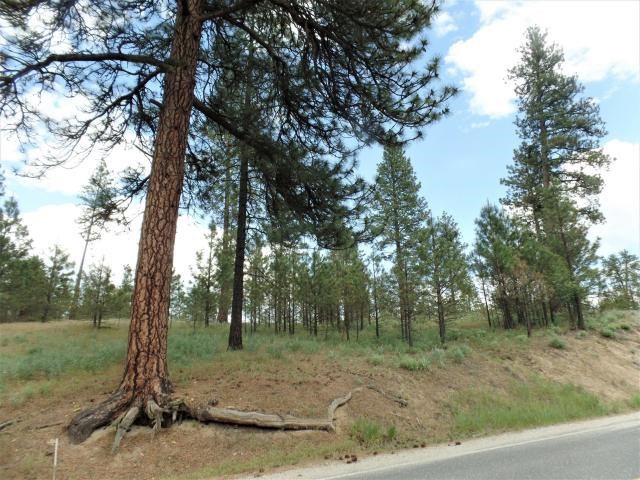 Lot 103 Old Kettle Road Kettle Falls, WA 99141 - Photo 19 of 19 Gallery Image 19