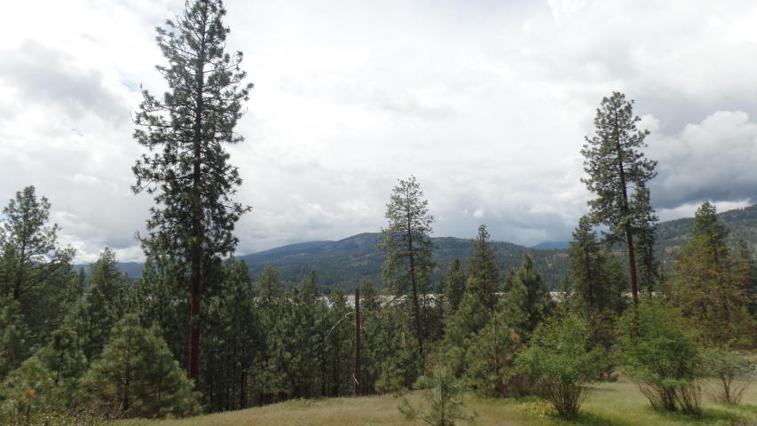 Lot 103 Old Kettle Road Kettle Falls, WA 99141 - Photo 3 of 19 Gallery Image 3