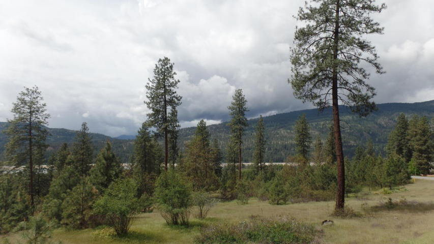 Lot 103 Old Kettle Road Kettle Falls, WA 99141 - Photo 5 of 19 Gallery Image 5