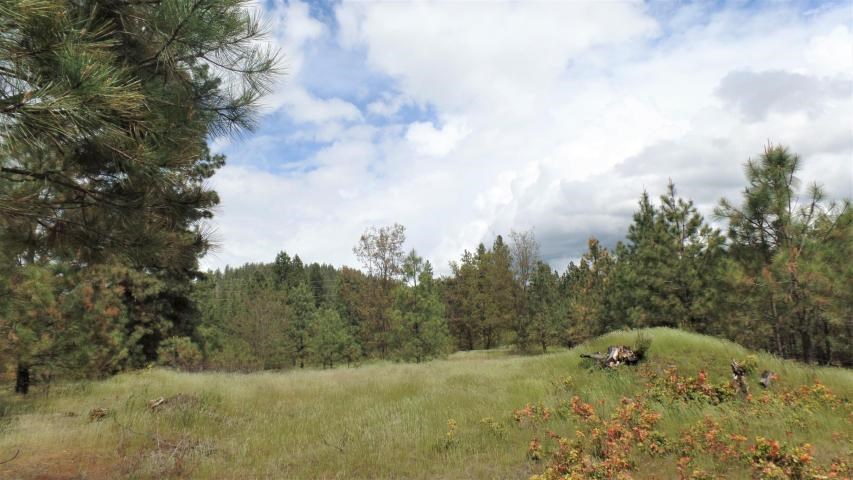Lot 103 Old Kettle Road Kettle Falls, WA 99141 - Photo 7 of 19 Gallery Image 7
