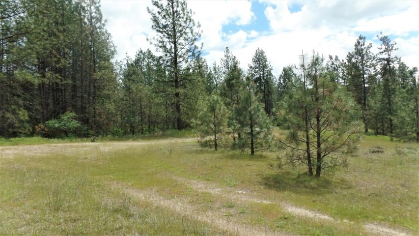 Lot 103 Old Kettle Road Kettle Falls, WA 99141 - Photo 8 of 19 Gallery Image 8