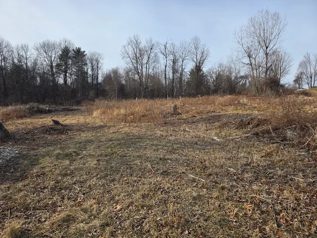 a backyard of a house with trees