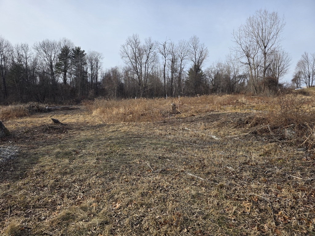 431 Coy Hill Road Warren, MA 01083 - Photo 4 of 11