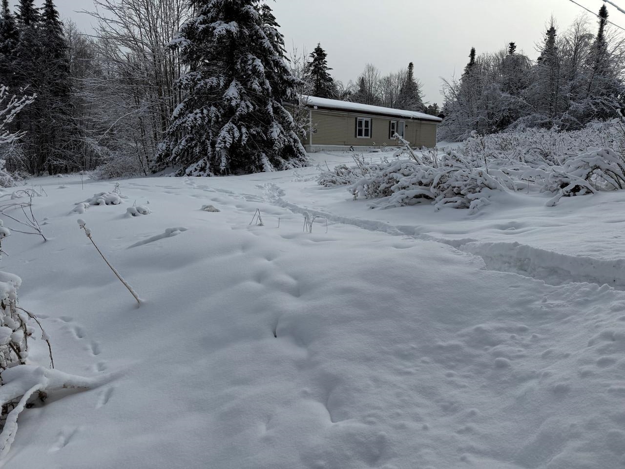 571 Bliss Road Woodbury, VT 05658 - Photo 2 of 8