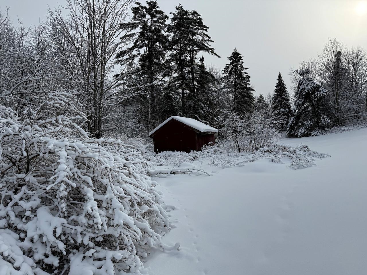 571 Bliss Road Woodbury, VT 05658 - Photo 3 of 8