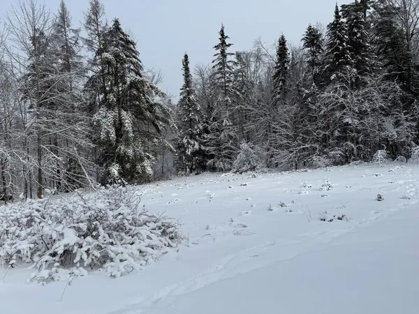 $120,000 | 571 Bliss Road, Woodbury, VT 05658