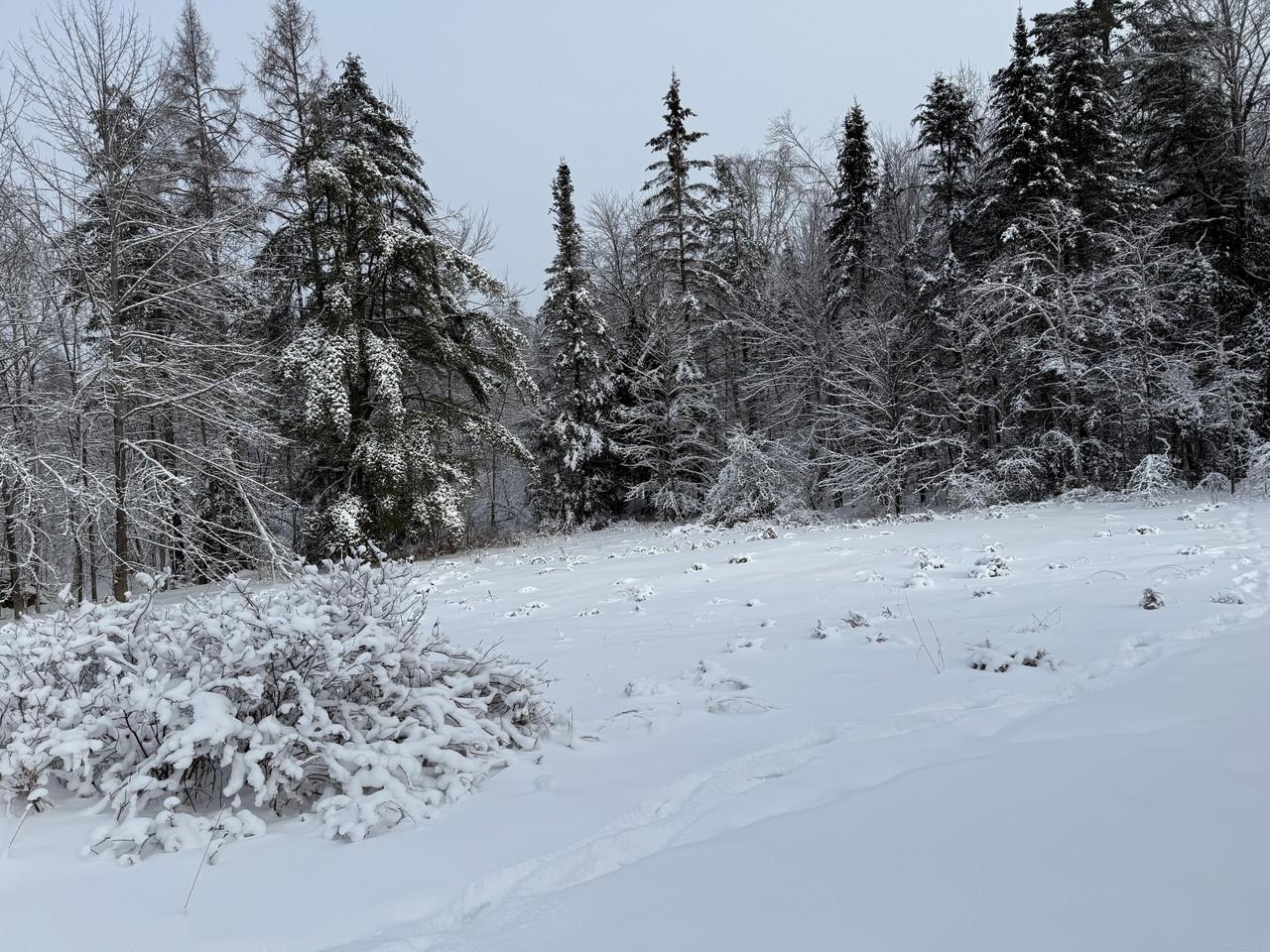 571 Bliss Road Woodbury, VT 05658 - Photo 8 of 8