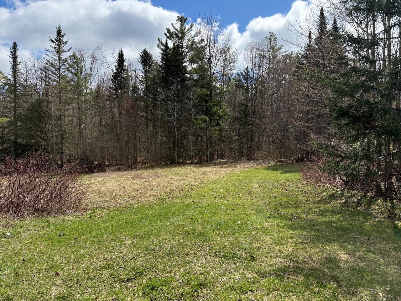 571 Bliss Road Woodbury, VT 05658 - Photo 10 of 10