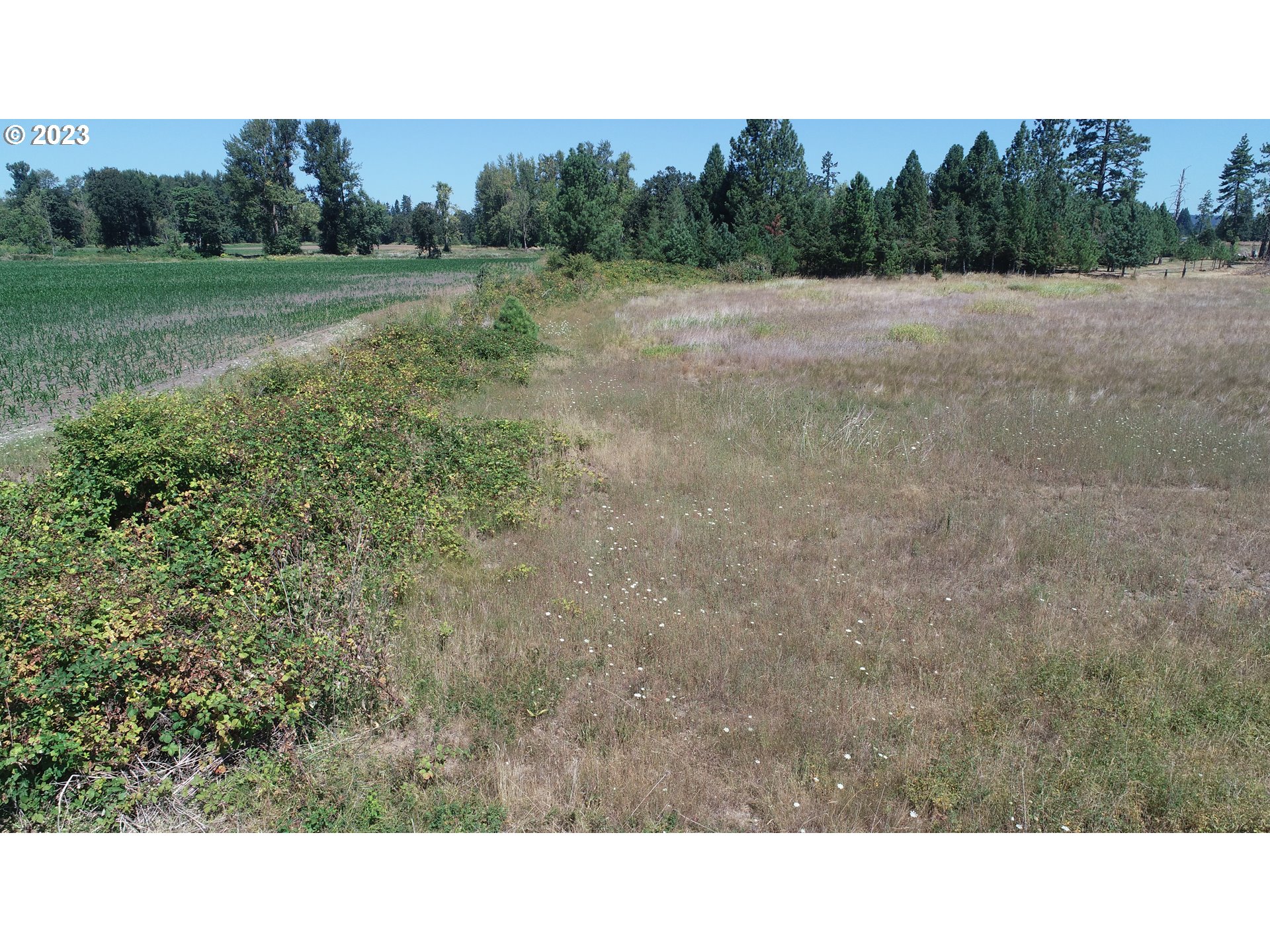 6501 South Anderson Road Aurora, OR 97002 - Photo 24 of 25 Gallery Image 24