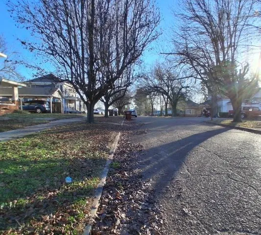 a view of yard covered with trees