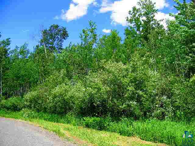 Ooo Touve Road Herbster, WI 54844 - Photo 1 of 1 Gallery Image 1