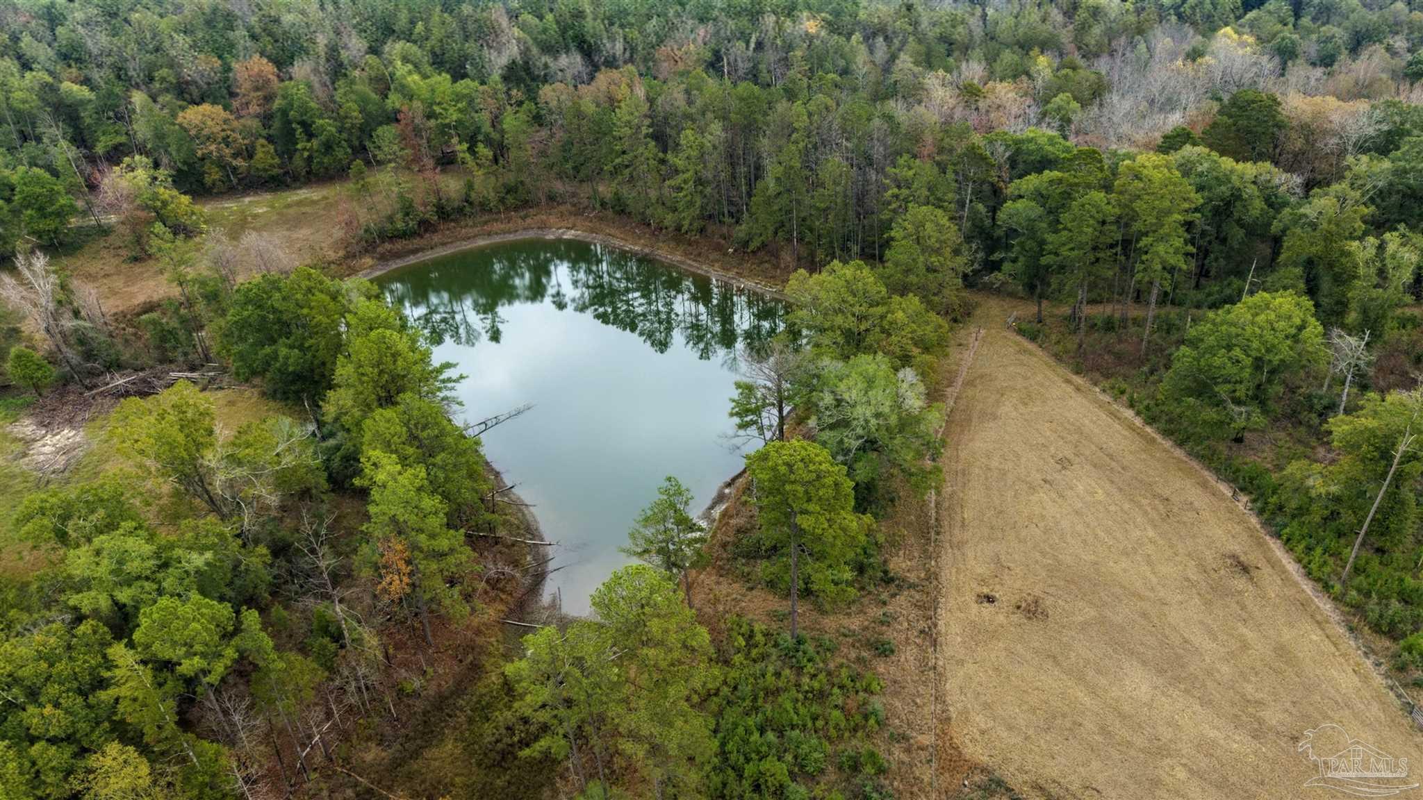 9023 County Road Millry, AL 36558 - Photo 33 of 72