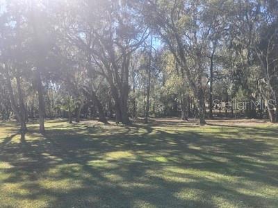 13091 Old Crystal River Road Brooksville, FL 34601 - Photo 6 of 32