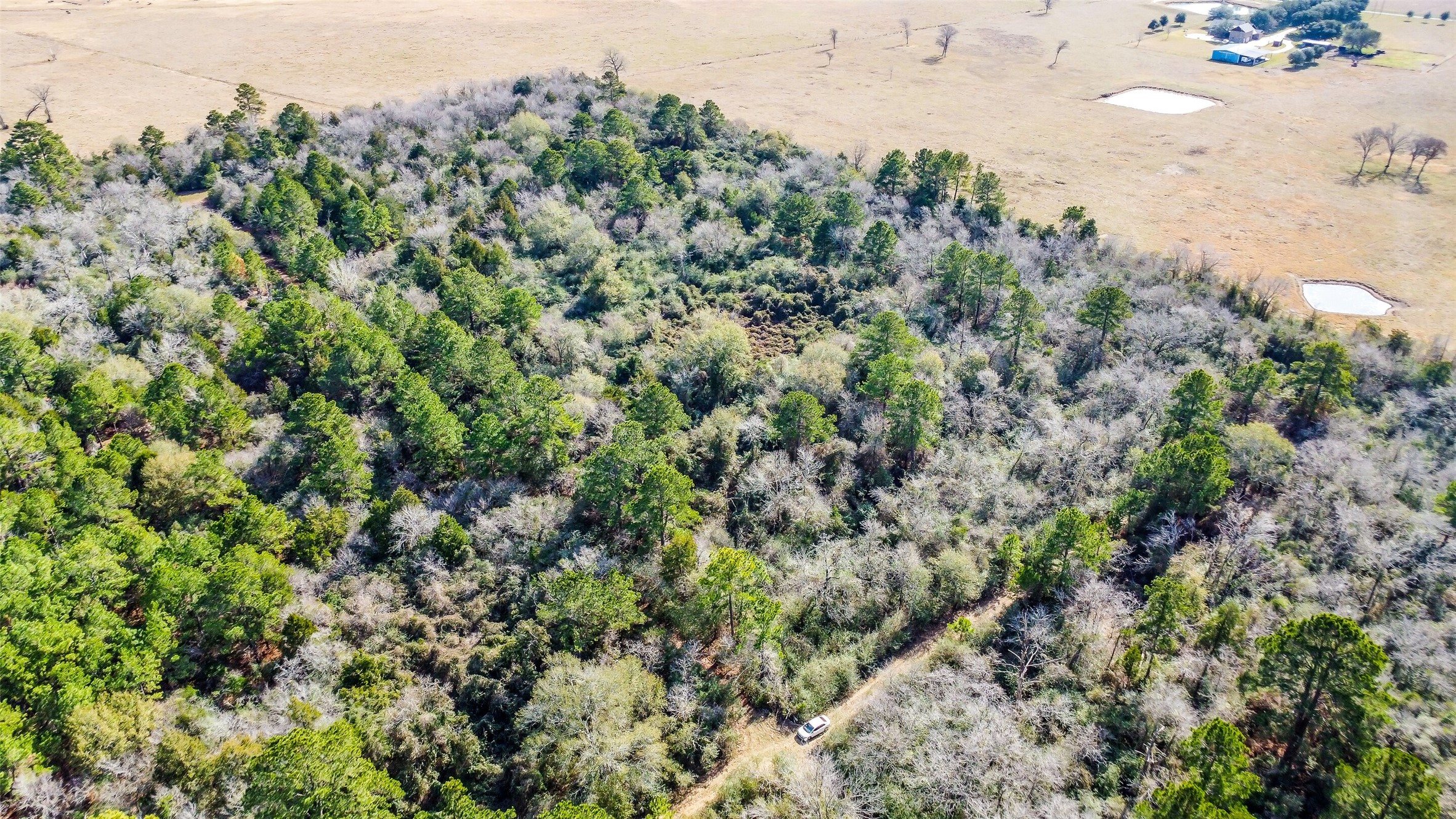 17625 Falcon Lane Hempstead, TX 77445 - Photo 1 of 22 an aerial view of a houses with a yard