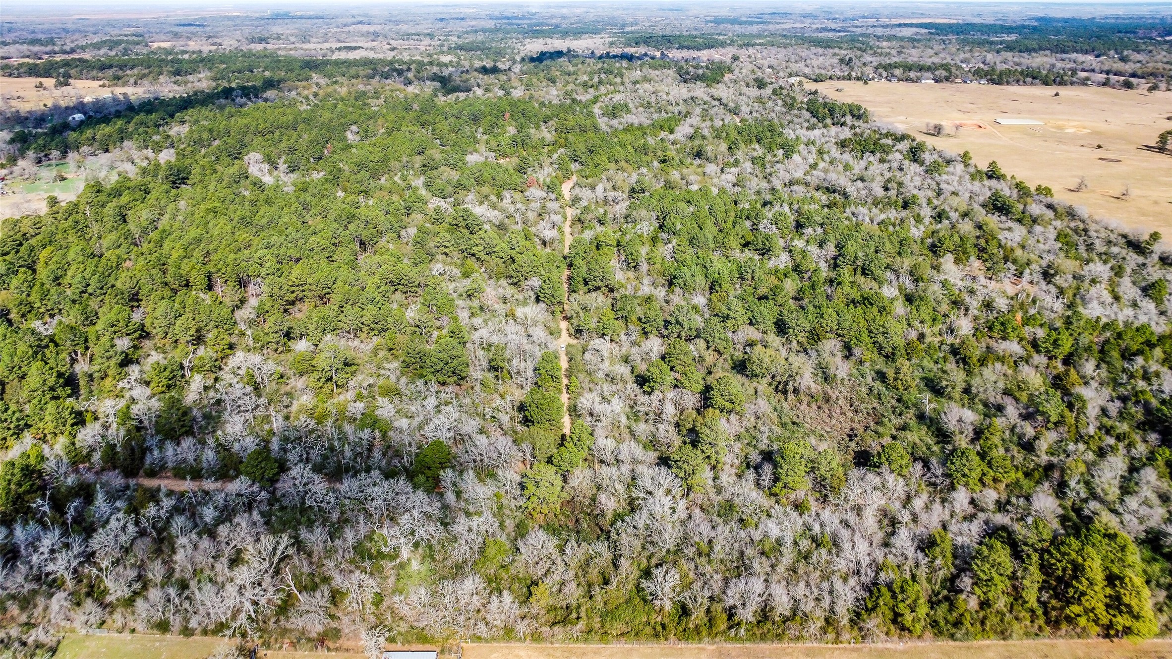 17625 Falcon Lane Hempstead, TX 77445 - Photo 12 of 22 a view of a yard with an outdoor space