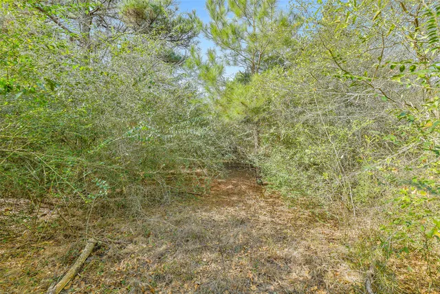 a bathroom with a window