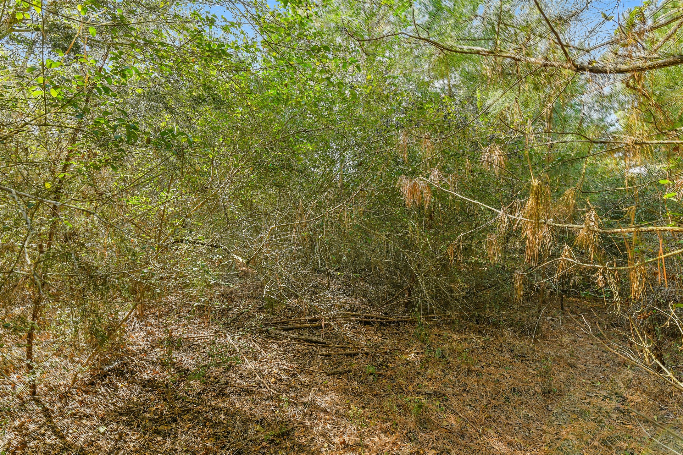 17625 Falcon Lane Hempstead, TX 77445 - Photo 5 of 22 a bathroom with a window