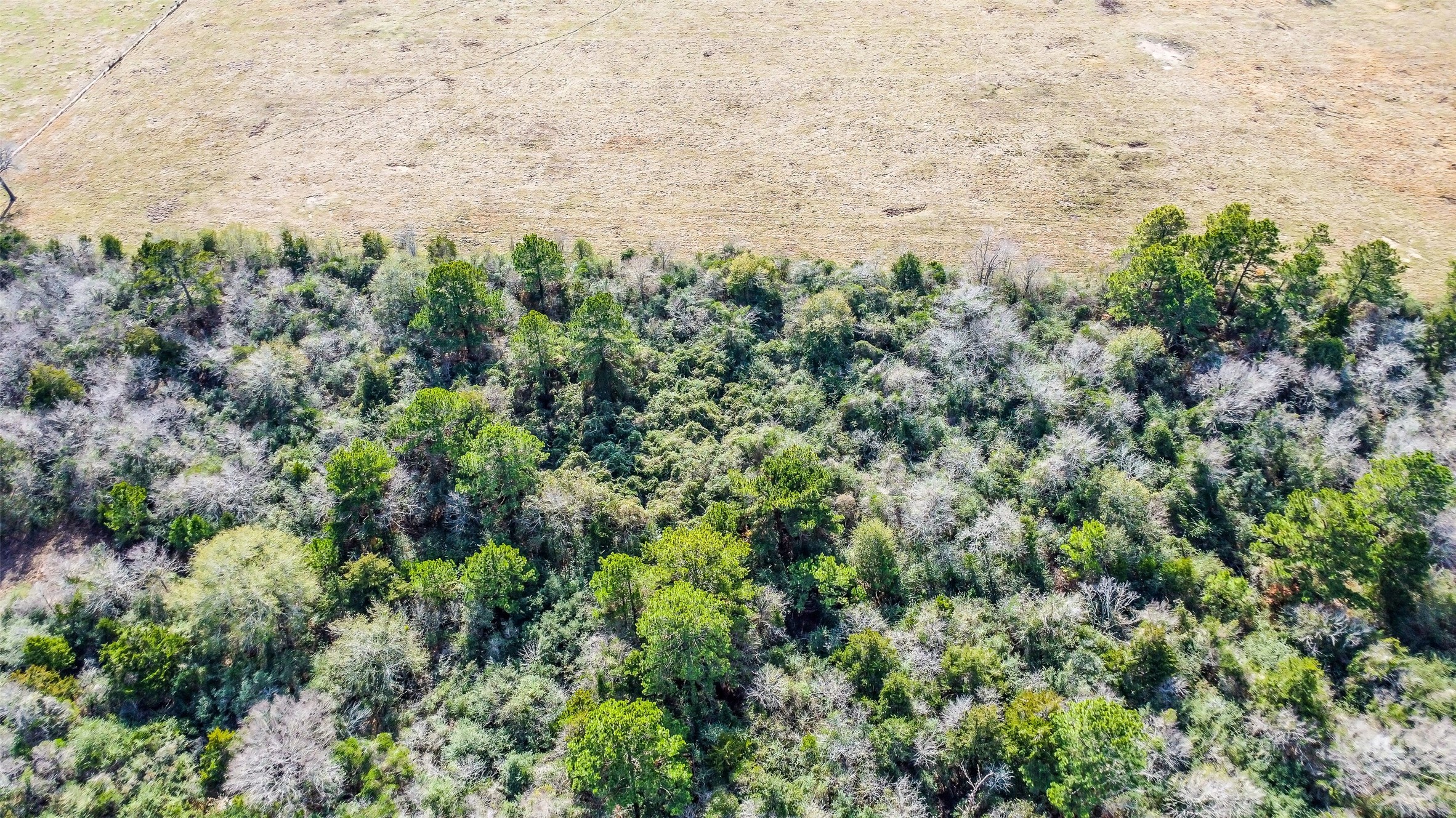 17625 Falcon Lane Hempstead, TX 77445 - Photo 6 of 22 a view of a field of grass and trees