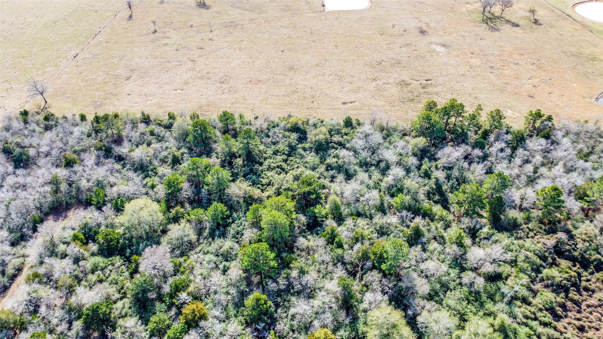 17625 Falcon Lane Hempstead, TX 77445 - Photo 7 of 22 an aerial view of house with yard