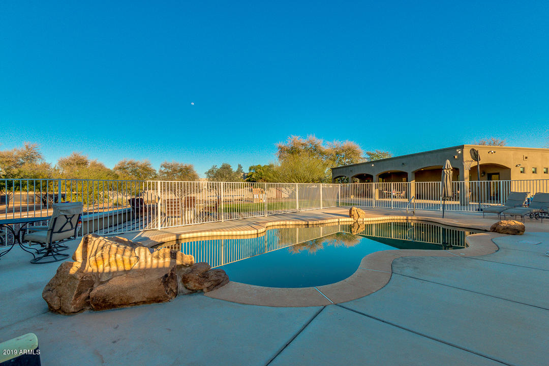2816 West Joy Ranch Road Phoenix, AZ 85086 - Photo 40 of 51 Pool with Rock Features