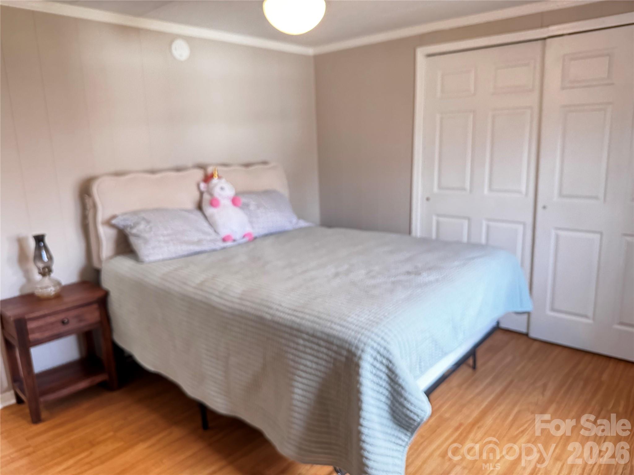 806 Hutch Mountain Road Fletcher, NC 28732 - Photo 20 of 43