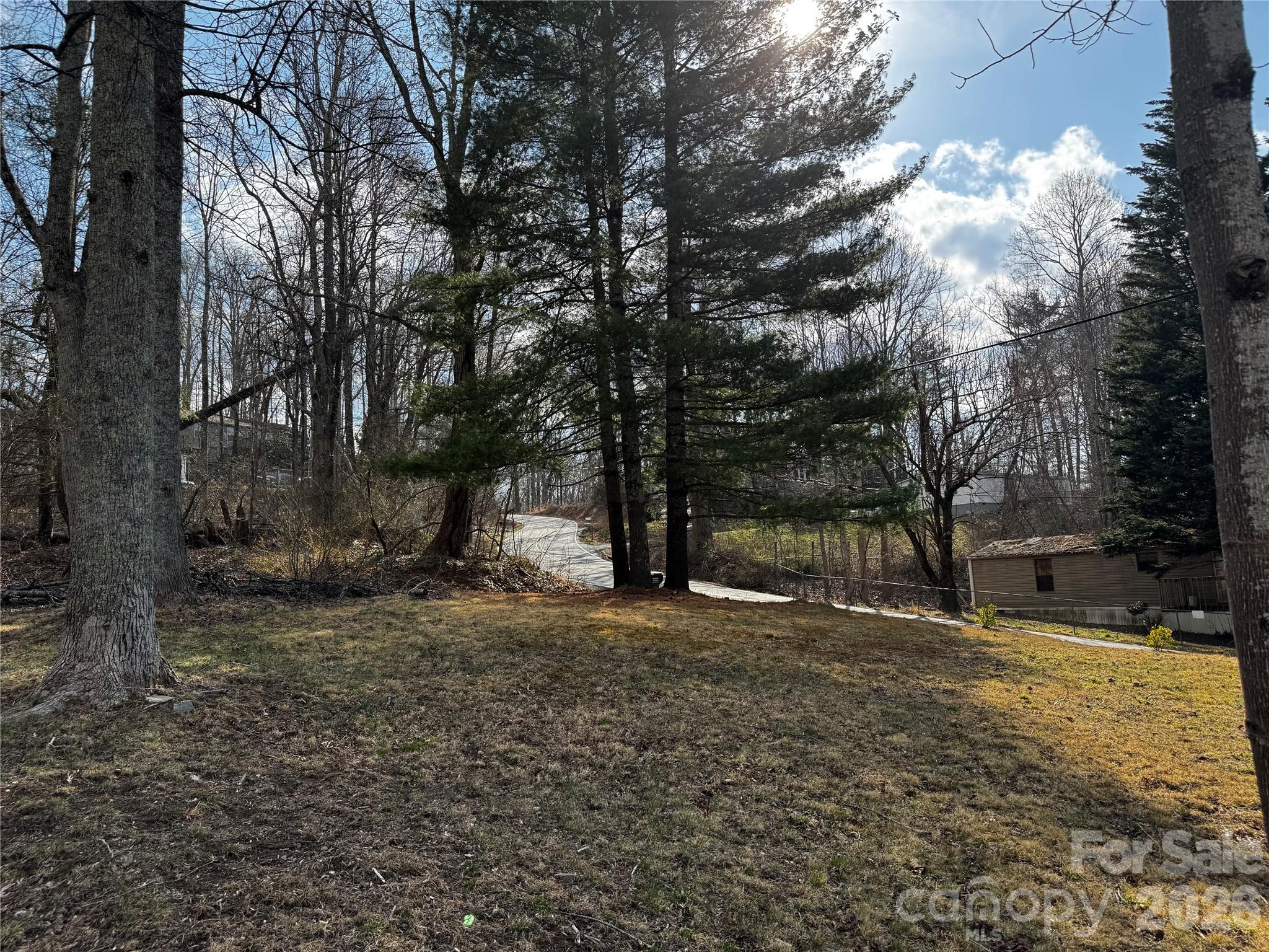 806 Hutch Mountain Road Fletcher, NC 28732 - Photo 32 of 43