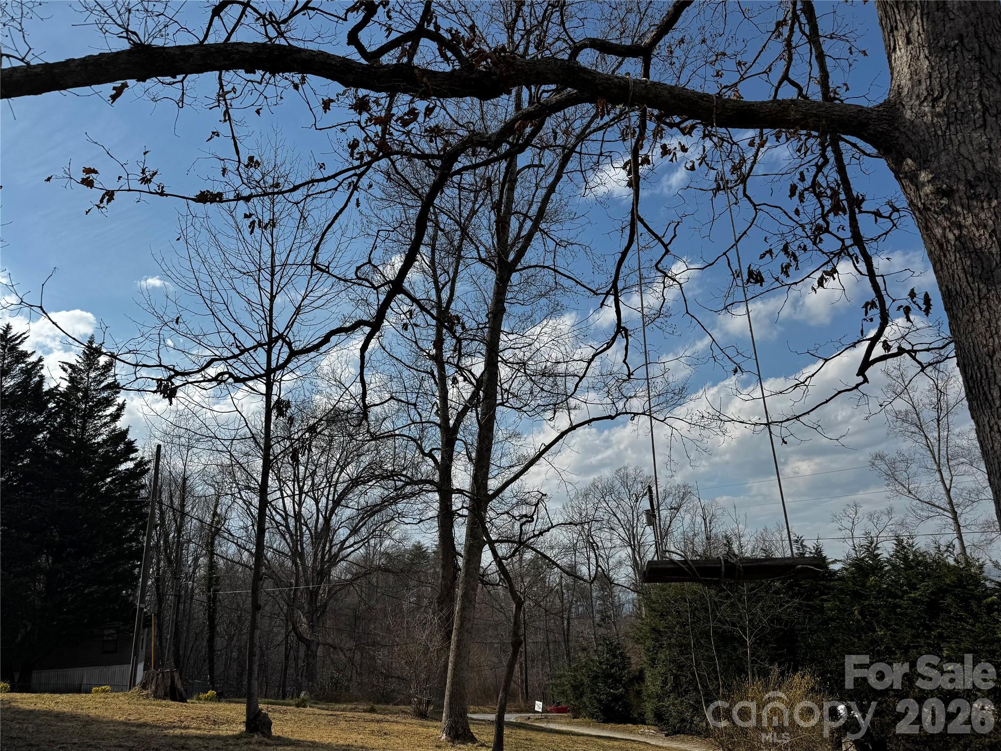 806 Hutch Mountain Road Fletcher, NC 28732 - Photo 33 of 43