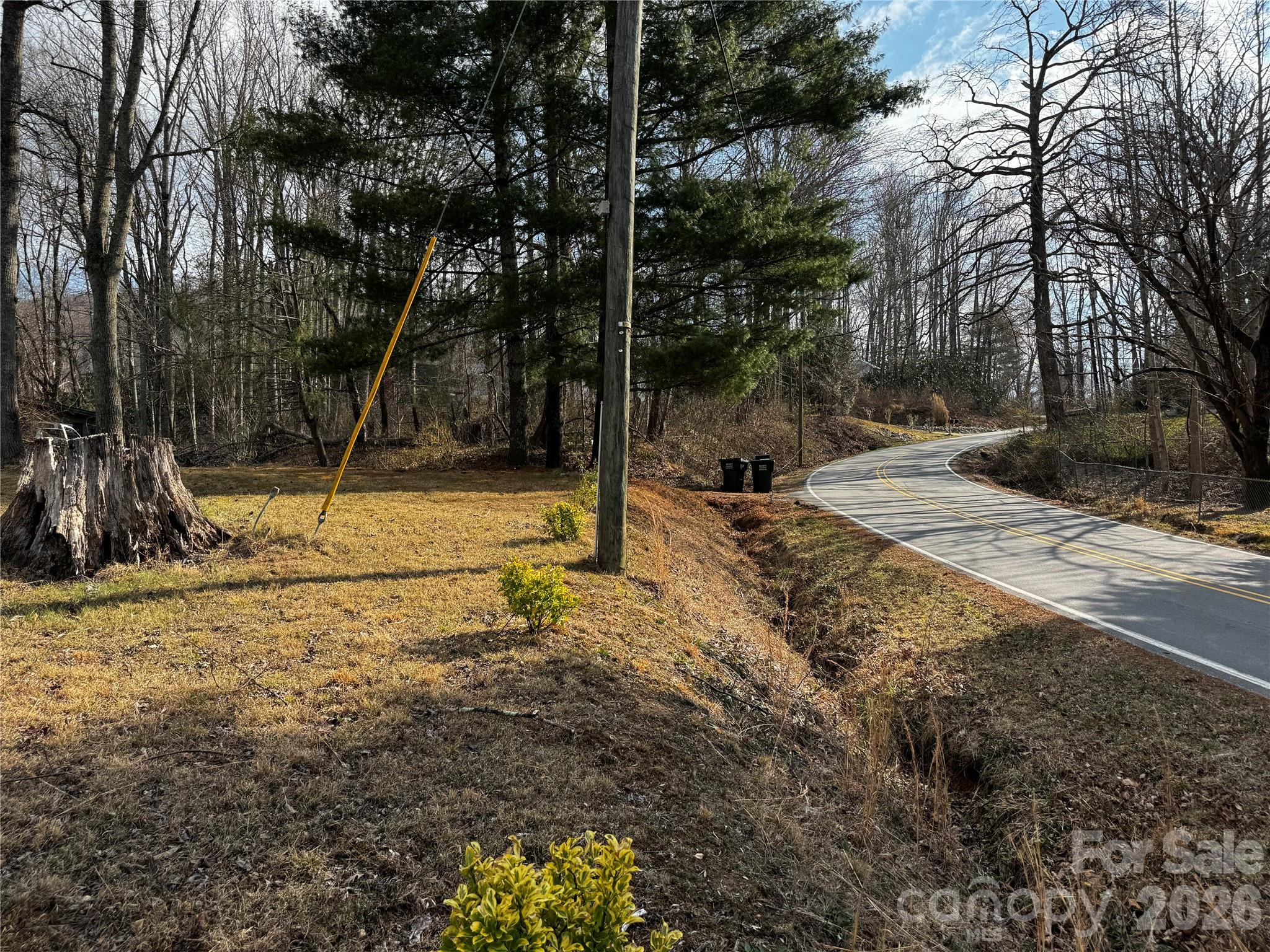 806 Hutch Mountain Road Fletcher, NC 28732 - Photo 34 of 43