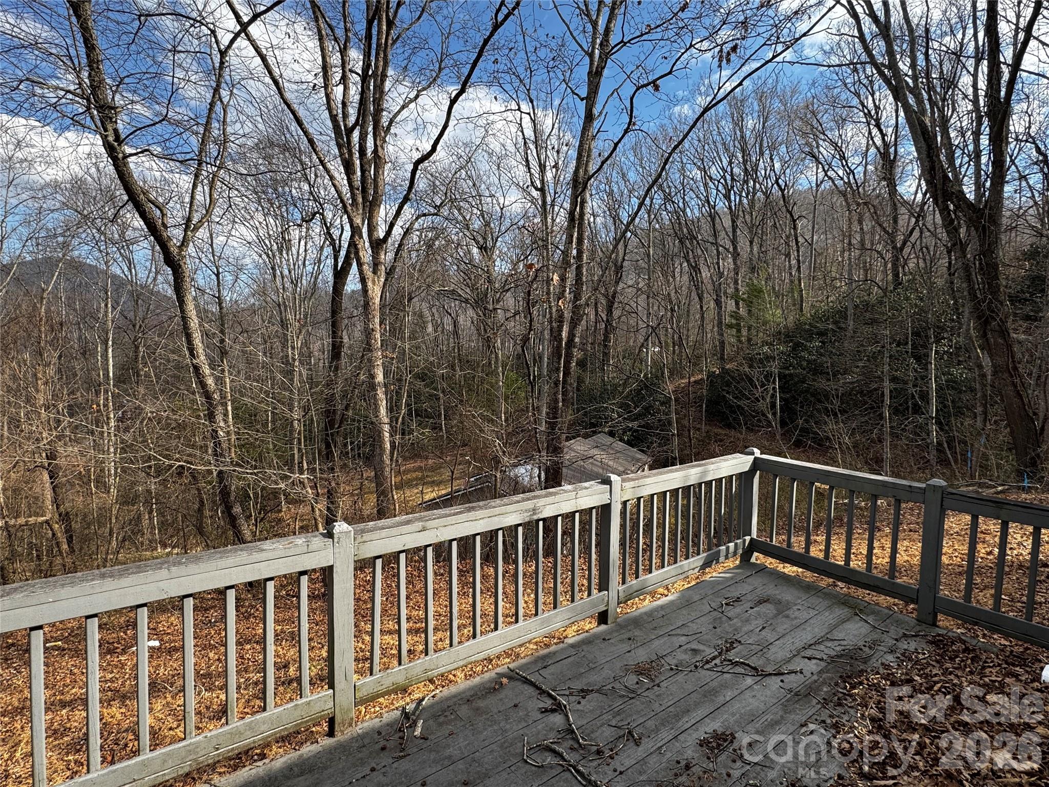 806 Hutch Mountain Road Fletcher, NC 28732 - Photo 40 of 43