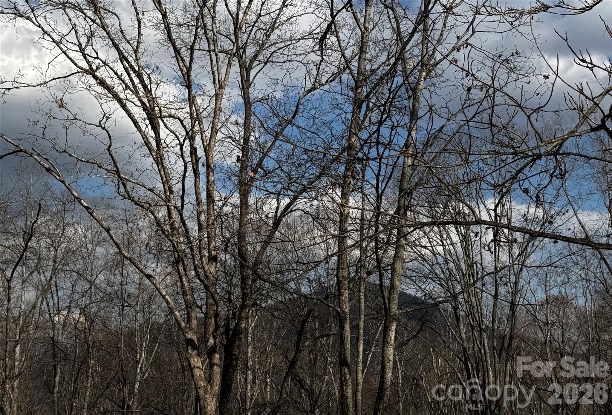 806 Hutch Mountain Road Fletcher, NC 28732 - Photo 42 of 43