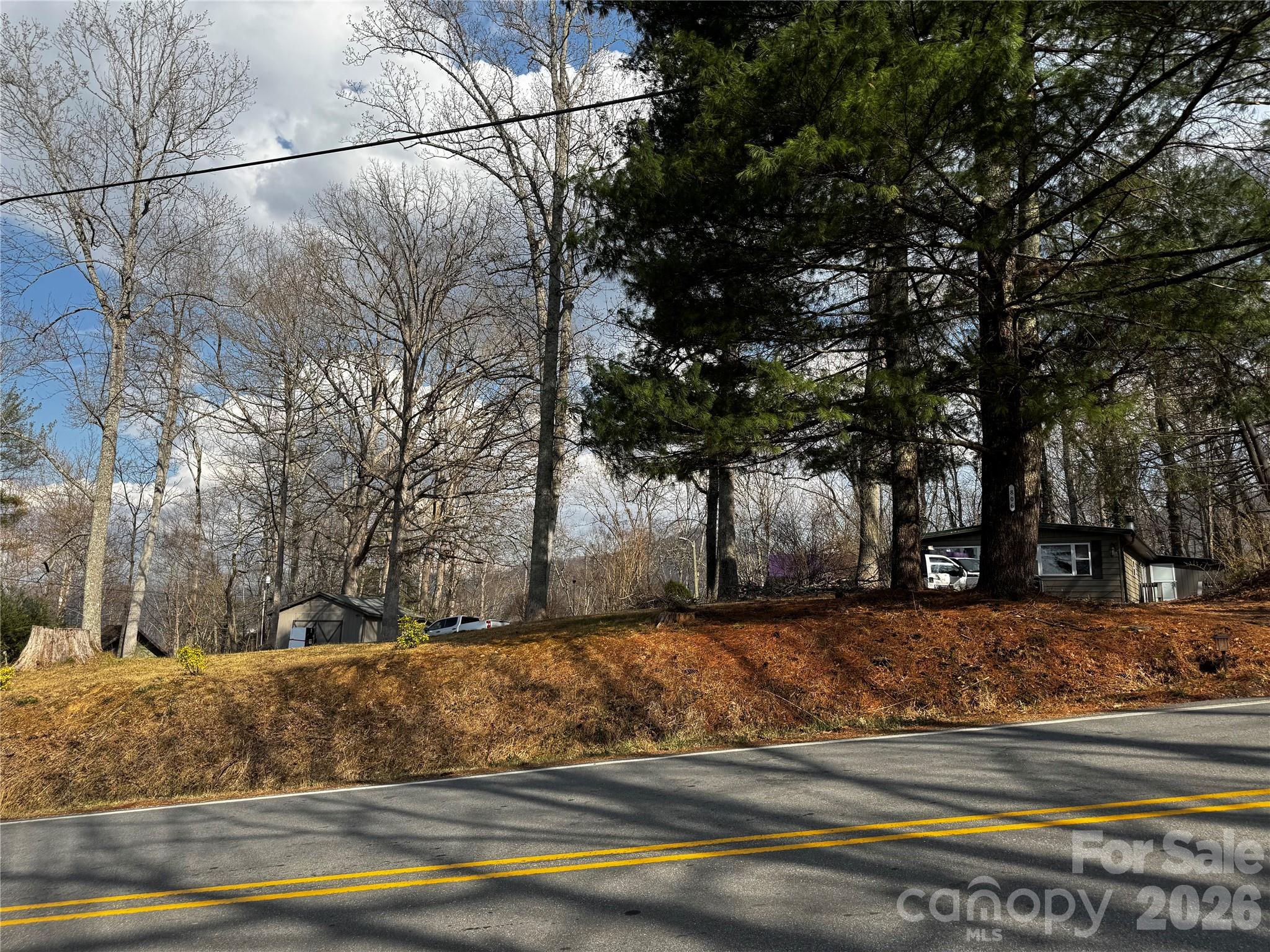 806 Hutch Mountain Road Fletcher, NC 28732 - Photo 43 of 43