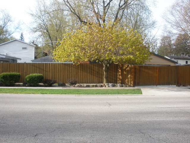 170 North Prairie Avenue Mundelein, IL 60060 - Photo 6 of 8