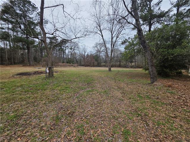 12462 Step Toe Road Roseland, LA 70456 - Photo 22 of 25