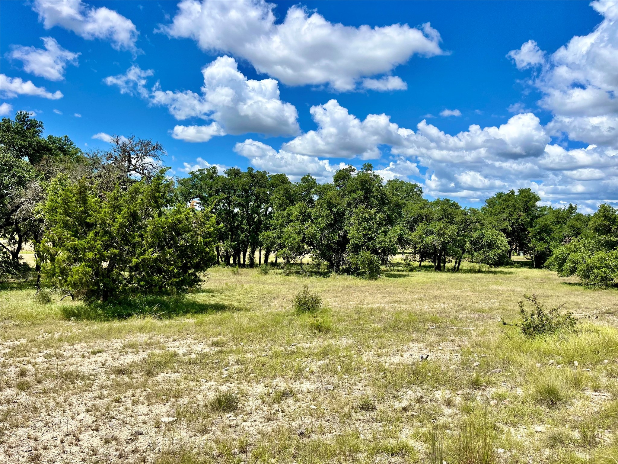 97 Summit Ridge Trail Johnson City, TX 78636 - Photo 7 of 8