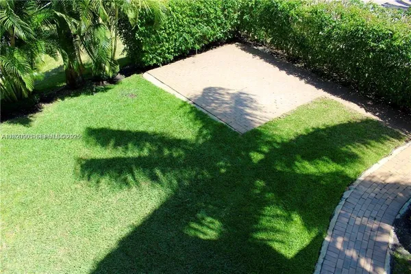 a view of a lush green forest