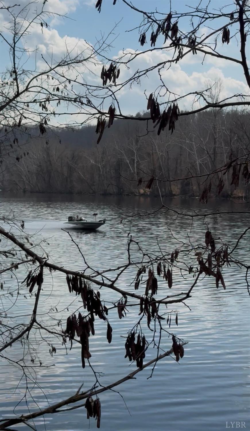 426 Burgess Road Madison Heights, VA 24572 - Photo 33 of 47