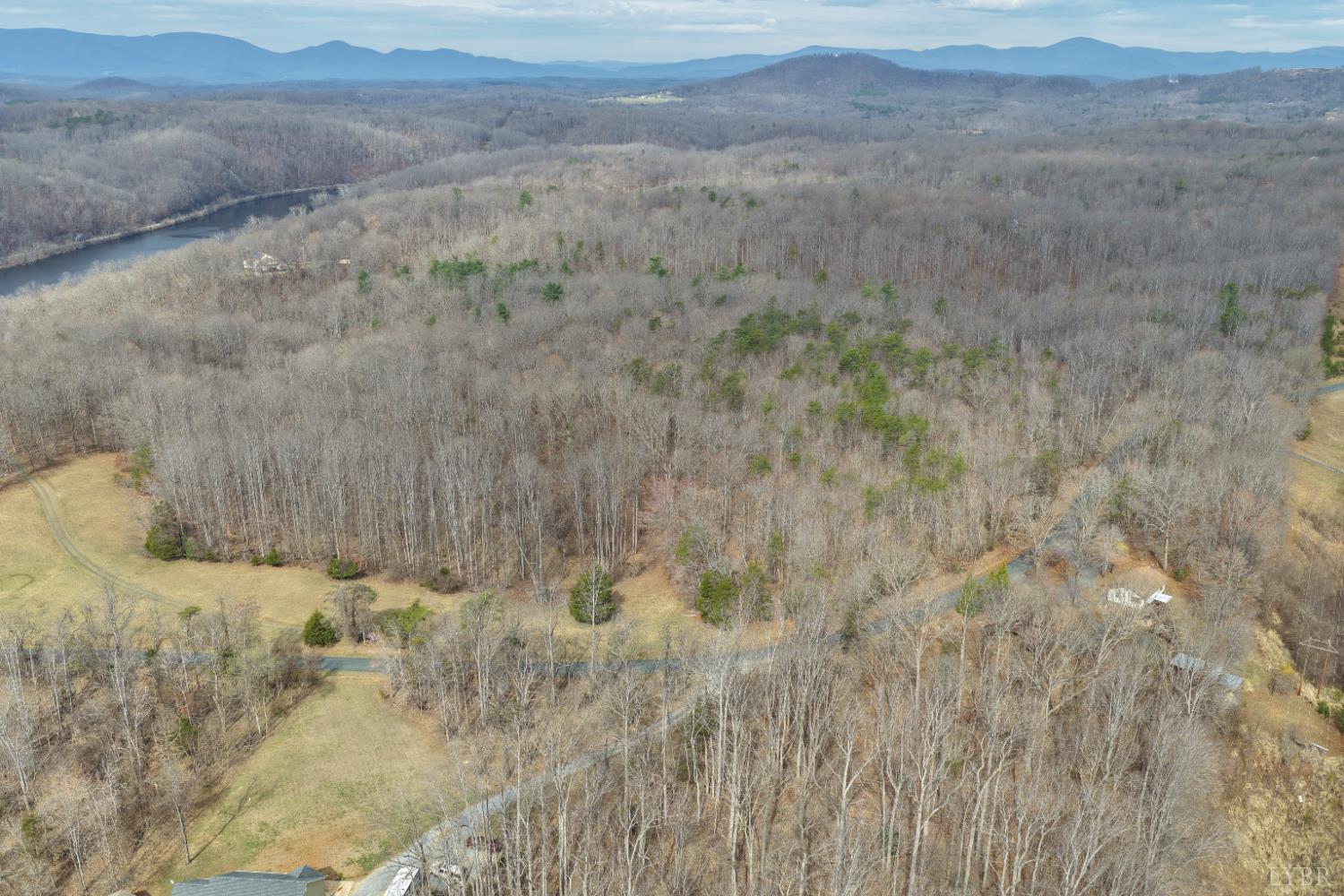 426 Burgess Road Madison Heights, VA 24572 - Photo 34 of 47