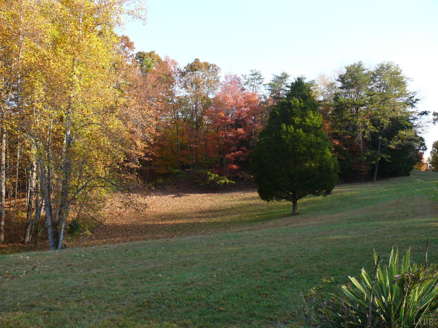 426 Burgess Road Madison Heights, VA 24572 - Photo 44 of 47