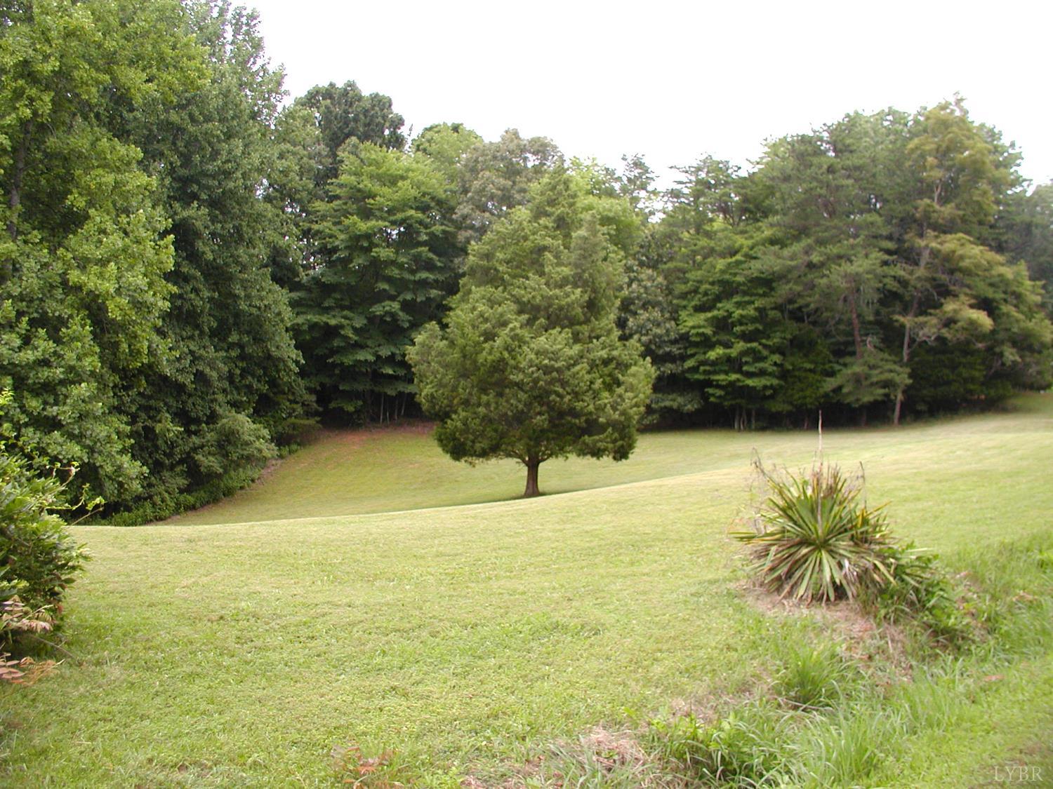 426 Burgess Road Madison Heights, VA 24572 - Photo 46 of 47