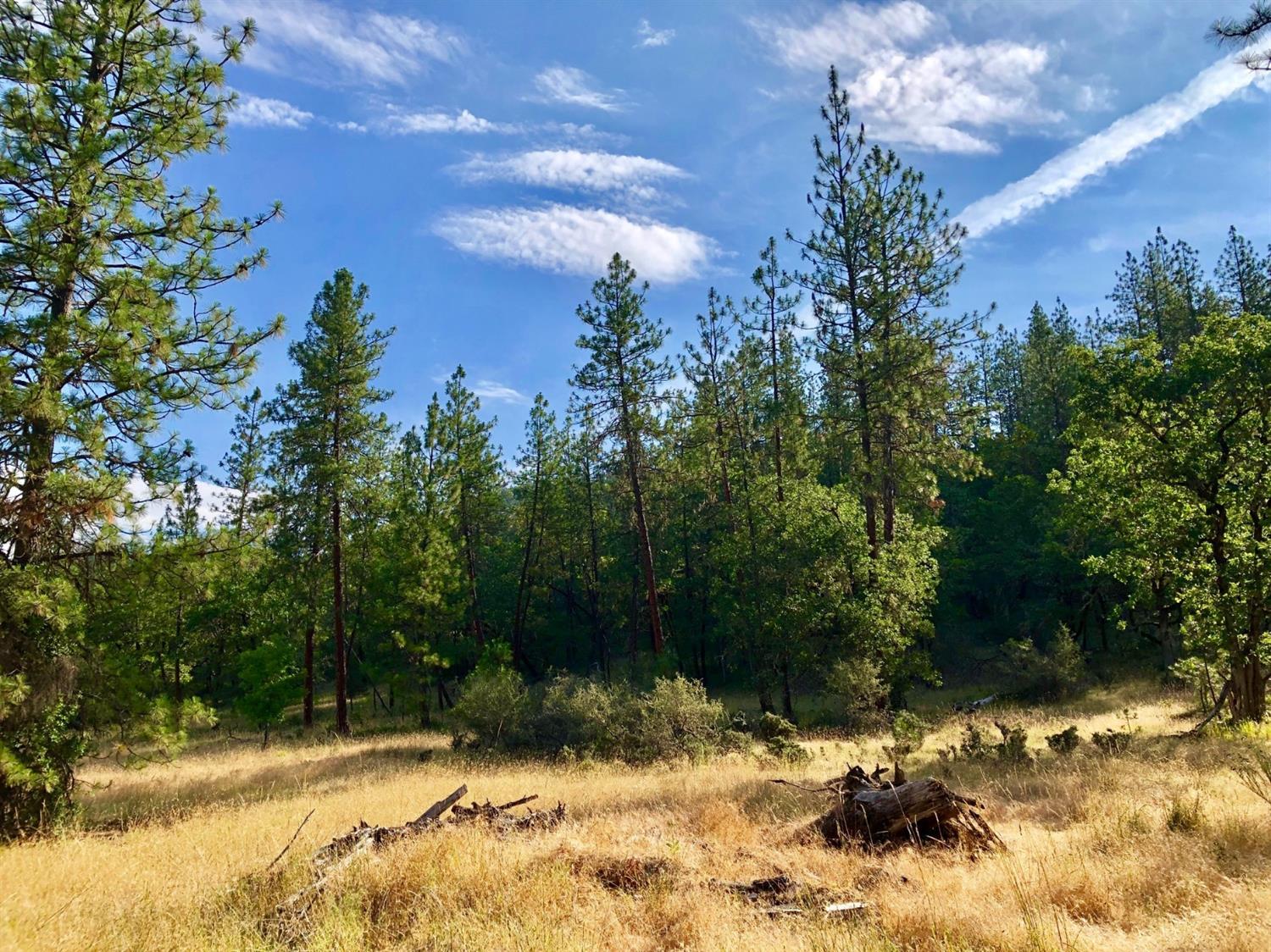 1601 Old Ferry Road Shady Cove, OR 97539 - Photo 10 of 10 Additional Photo